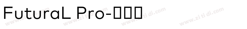FuturaL Pro字体转换